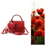 Luna - Red Mini Leather Bag